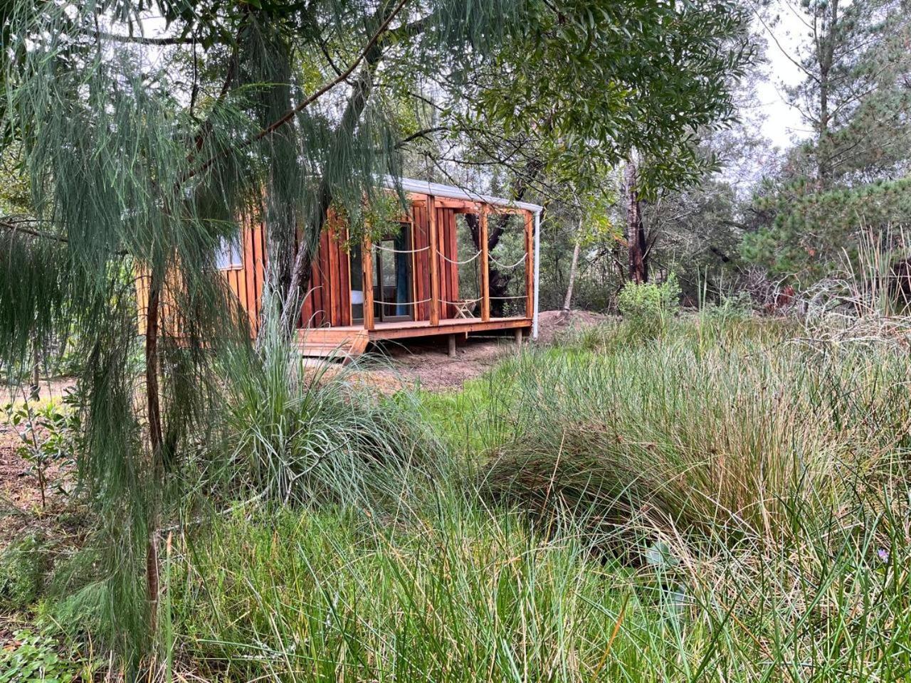 Forest Gate Resort เพลตเตนเบิร์กเบย์ ภายนอก รูปภาพ
