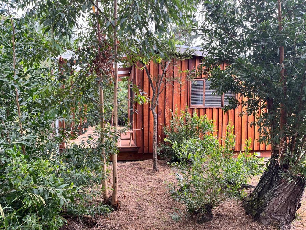Forest Gate Resort เพลตเตนเบิร์กเบย์ ภายนอก รูปภาพ