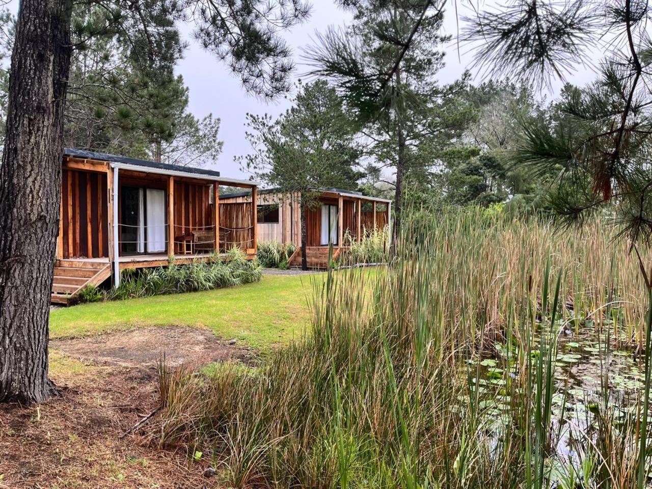 Forest Gate Resort เพลตเตนเบิร์กเบย์ ภายนอก รูปภาพ