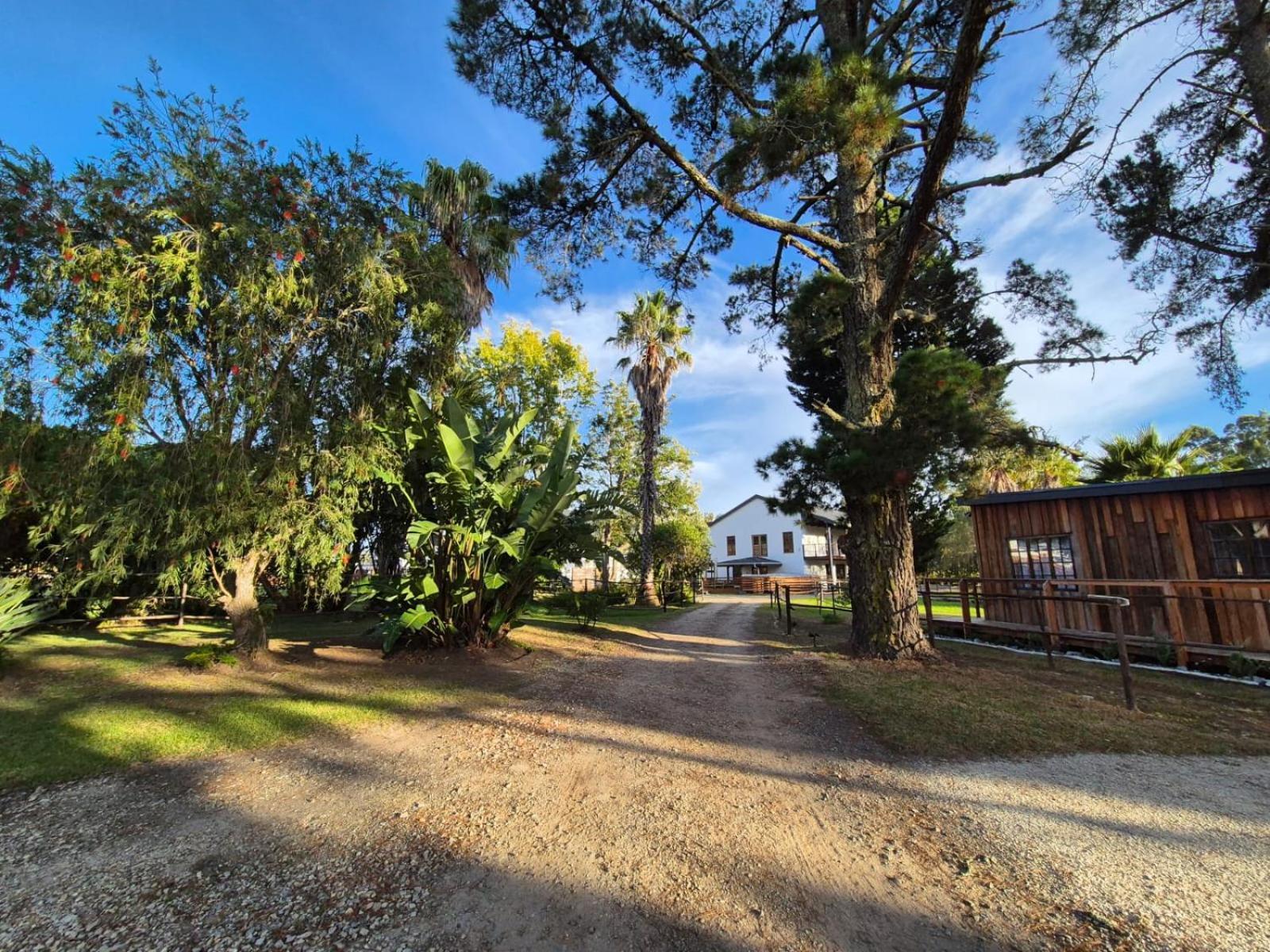 Forest Gate Resort เพลตเตนเบิร์กเบย์ ภายนอก รูปภาพ